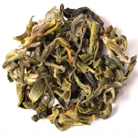 Nepalska herbata zielona Nepal Jun Chiyabari Evergreen