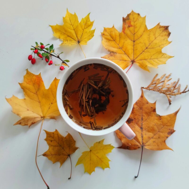 jesienna herbata zielona hojicha z japonii seigo kondo